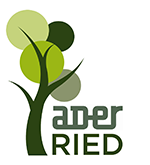ADER RIED