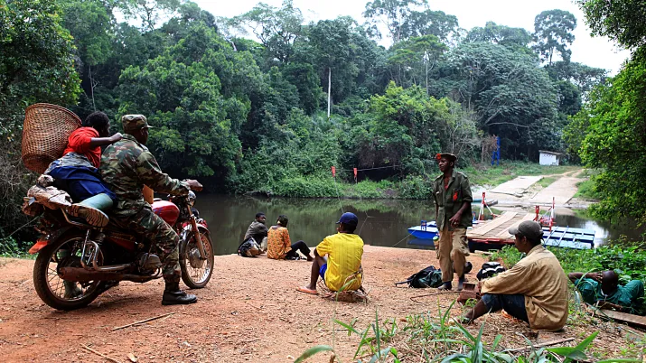 Gérer plus durablement la forêt grâce aux images satellites, Cameroun