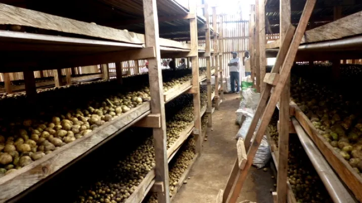 développement PME secteur agricole, projet Cameroun