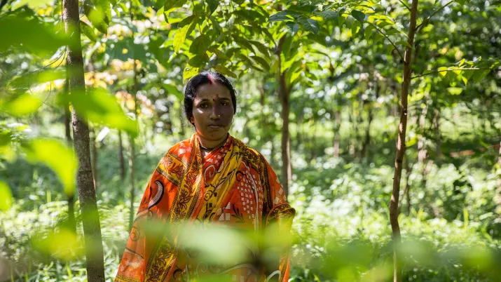 Femme, Assam, nature, biodiversité, Inde