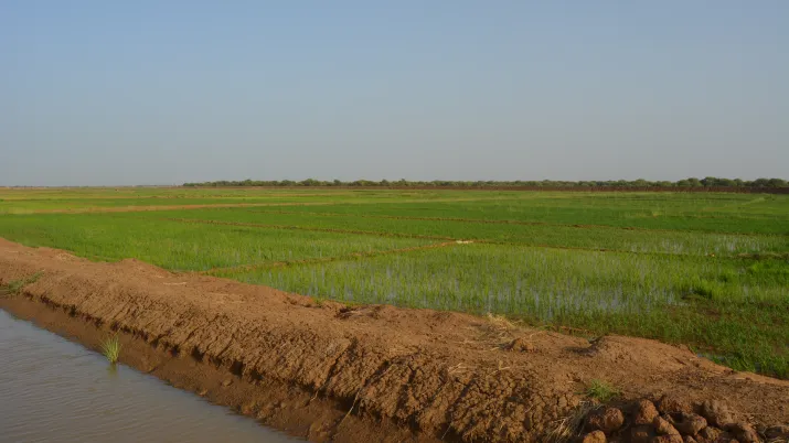 Irrigation, agriculture, Sénégal