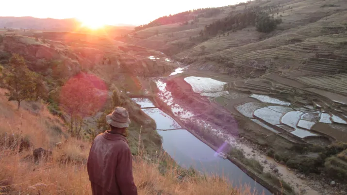 paysage rural, agriculture, Madagascar