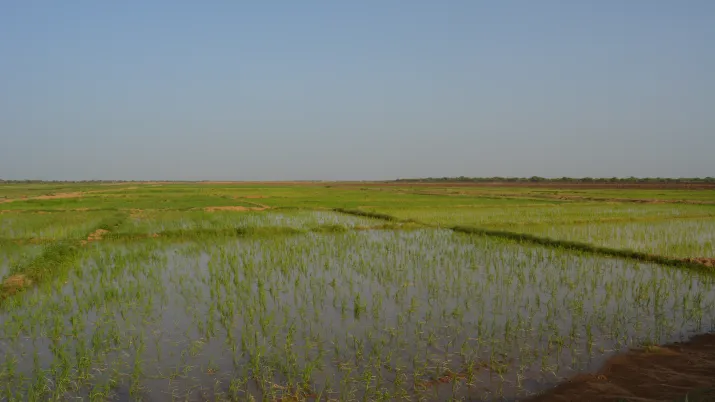 territoires ruraux, agriculture, Sénégal
