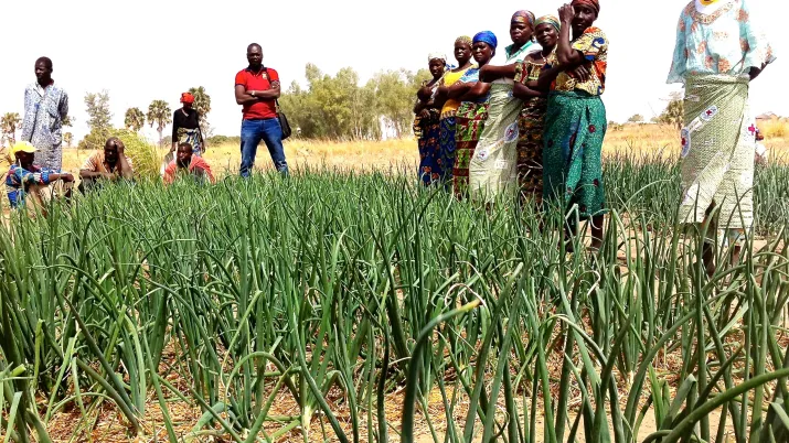 Soutenir une agriculture familiale et durable dans la région des Savanes - image