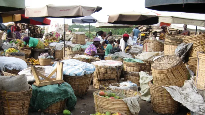 Appui au développement de l'institution de microfinance WAGES - image