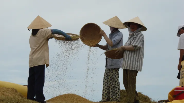 Mobilisation des ressources en eau dans la province de Ninh Thuan - Image