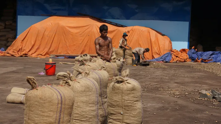 Soutenir le développement des Indications géographiques protégées au Vietnam (Programme PRCC) - Image