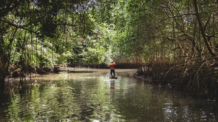 Contrôler l’aménagement durable de la forêt gabonaise