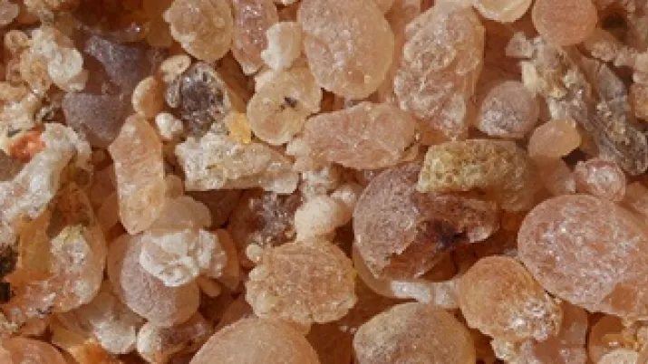 Projet d’Appui à la Filière Gomme Arabique - Samoukhna