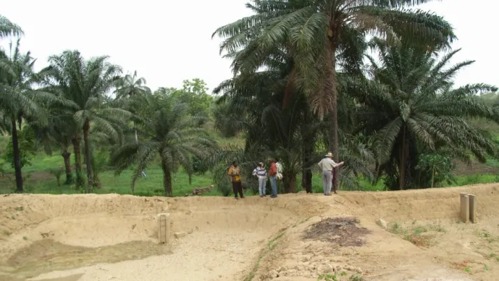 PAMESO, développement des TPE, Bénin, sentier, palmiers