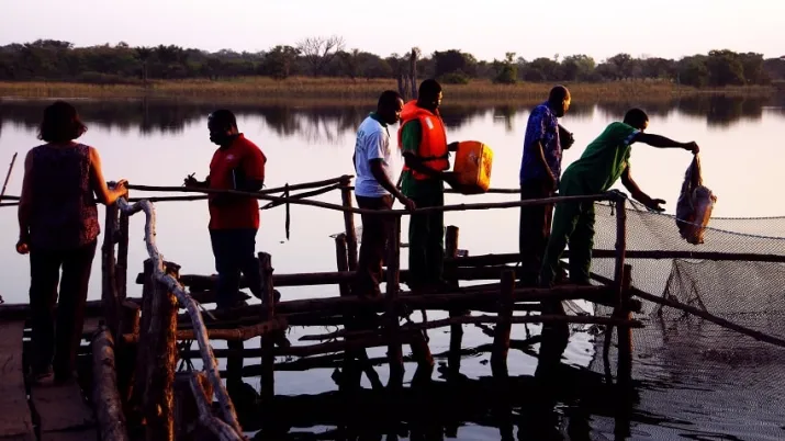 Songhai, projet pêche, Bénin
