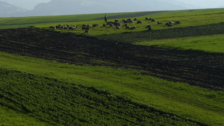 Accompagner la mise en oeuvre du Plan Maroc Vert dans les régions du Nord