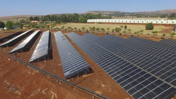 lvg plants, south africa