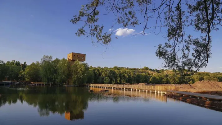Restaurer les zones humides de Qixian, richesses biologiques indispensables