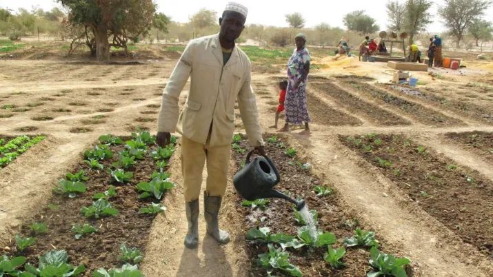 Appuyer la sécurité alimentaire des ménages (PASAM 4)