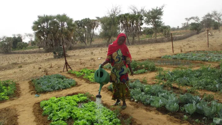 Soutenir le développement d’activités rurales et le financement de filières agricoles à Agadez et Tahoua