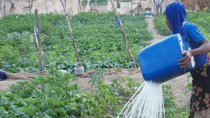 Solution d'irrigation solaire améliorée (SISAM)