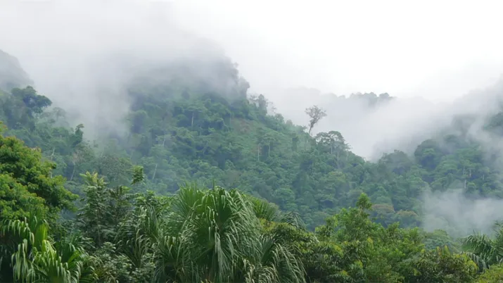 Gestion durable et pacifique des territoires 