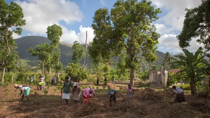 Transitions agroécologiques et résilience des territoires ruraux
