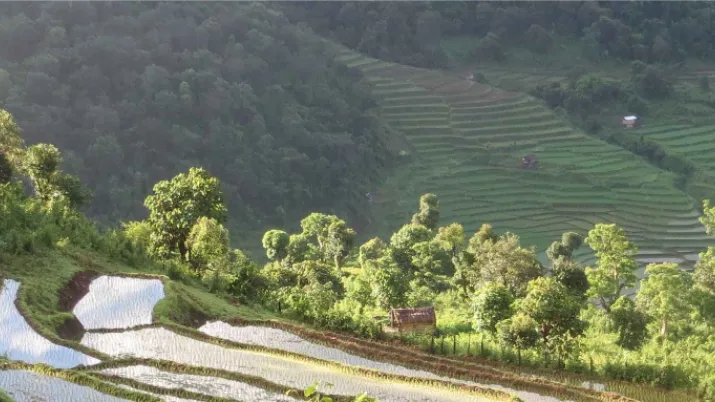 Vers l’amélioration des capacités de production durable et de résilience