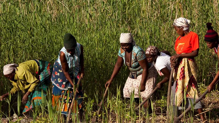 Agriculture urbaine et péri-urbaine durable