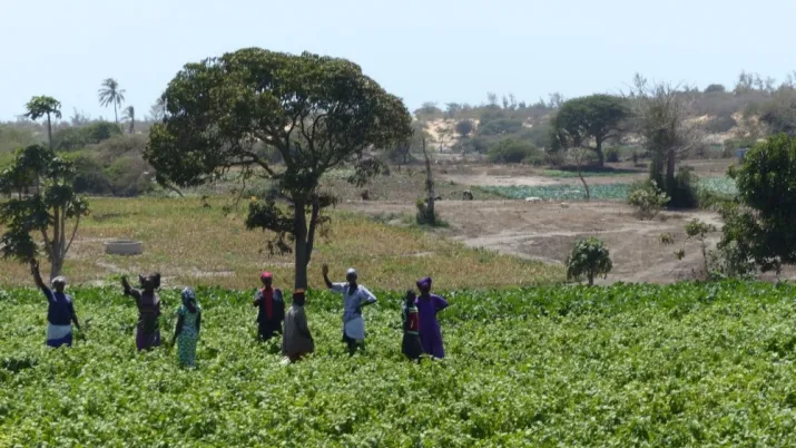 Renforcer la résilience des communautés fragiles au Sahel grâce à un modèle de développement efficace