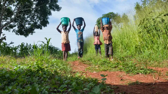 Appuyer les territoires impactés par les déplacements forcés de populations issus de la crise centrafricaine