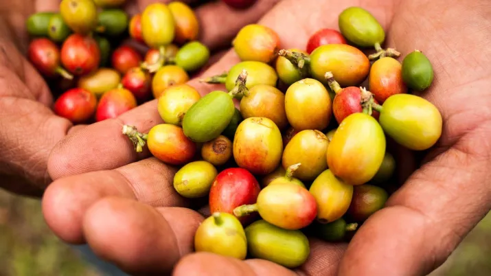 : « un moment pour réfléchir aux trajectoires de développement », AFD