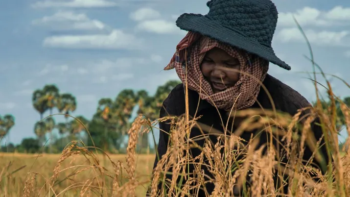 Gérer les ressources en eau pour améliorer la résilience des agriculteurs face aux aléas climatiques, projet AFD au Cambodge