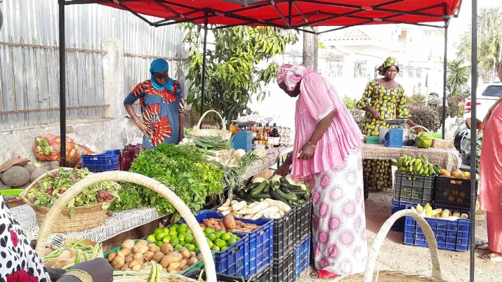 Terres nourricières 2019-2022, projet CFSI