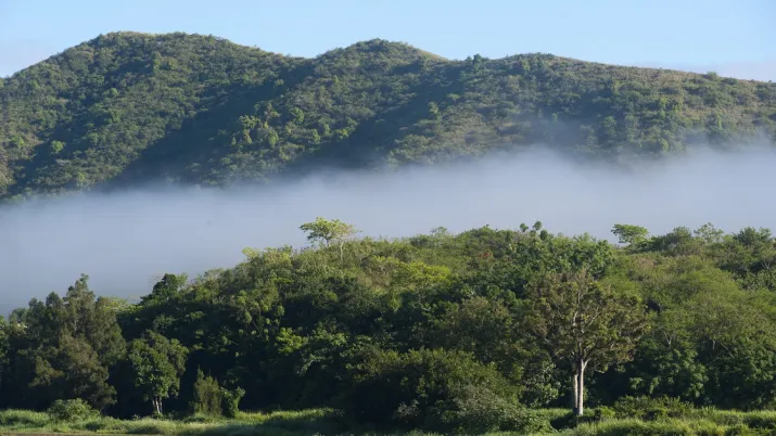 afd ace nouvelle calédonie