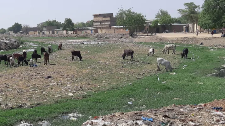 Réhabiliter le canal des Jardiniers, Tchad, AFD