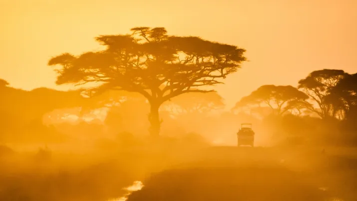 Amboseli national park, Kenya
