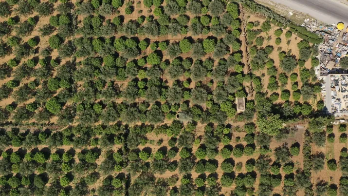 Tunisie champ agriculture adaptation changement climatique