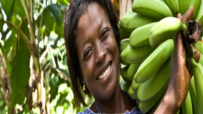 Fairtrade Ong projet