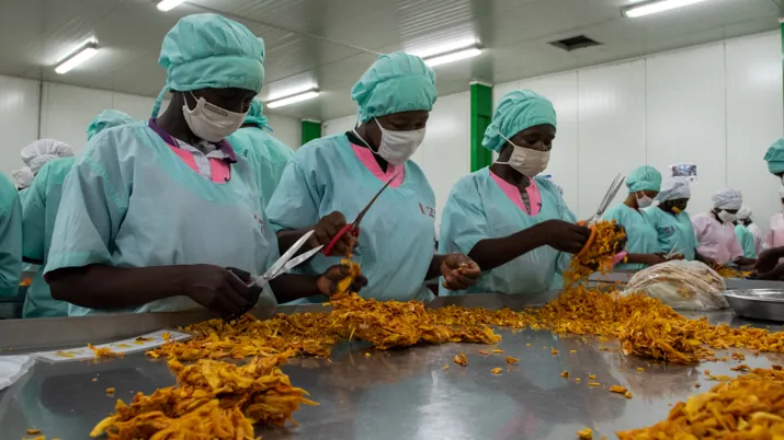 initiative "choose Africa": 1 milliard de plus pour les TPE-PME africaines