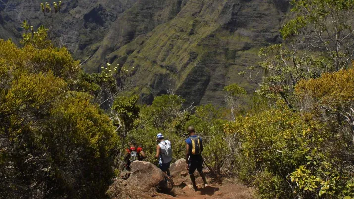 Protéger une biodiversité remarquable