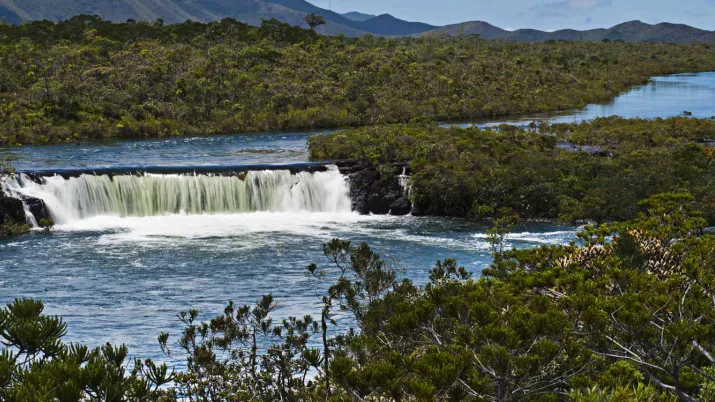 One Planet Summit 2021 : engagements AFD biodiversité