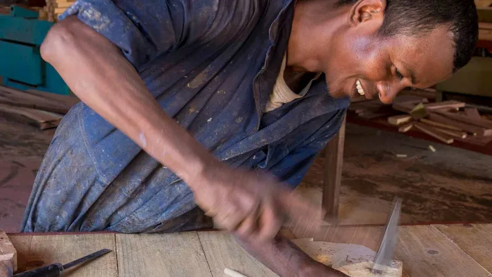 Appui à la formation professionnelle (Formapro-Madagascar)