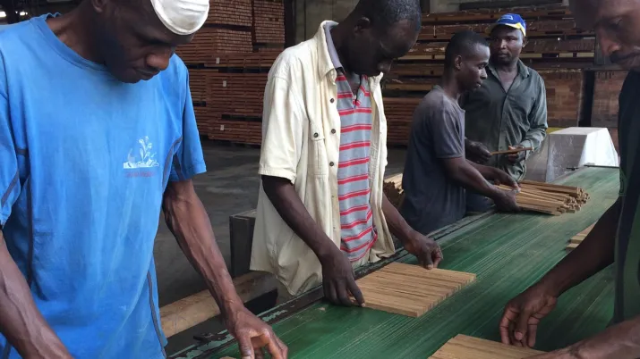 STRIVE : Insertion socio-professionnelle des jeunes et développement de filières agricoles rémunératrices au Libéria