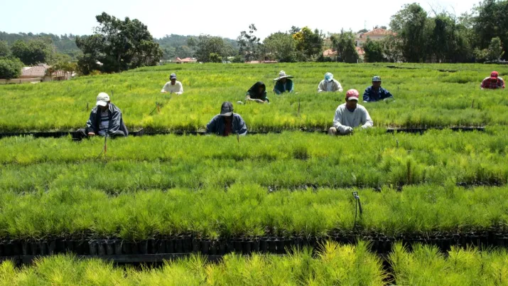 L’association Plan Sierra oeuvre pour la protection de la Cordillère centrale