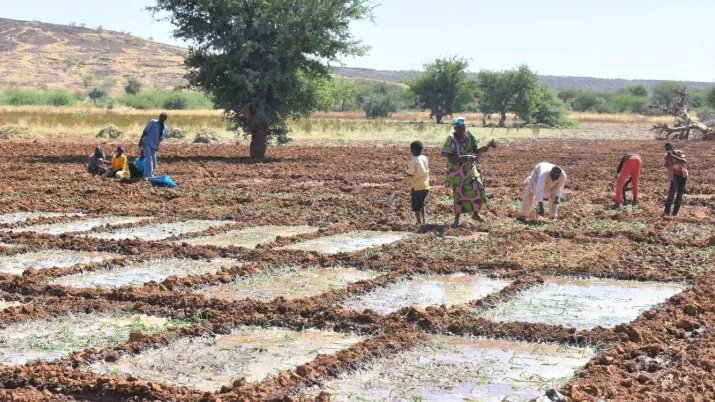 Un projet pour répondre au défi de la mise en place de systèmes alimentaires durables, sains et inclusifs reposant sur les agricultures familiales