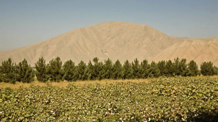 Afghanistan Paysage agricole