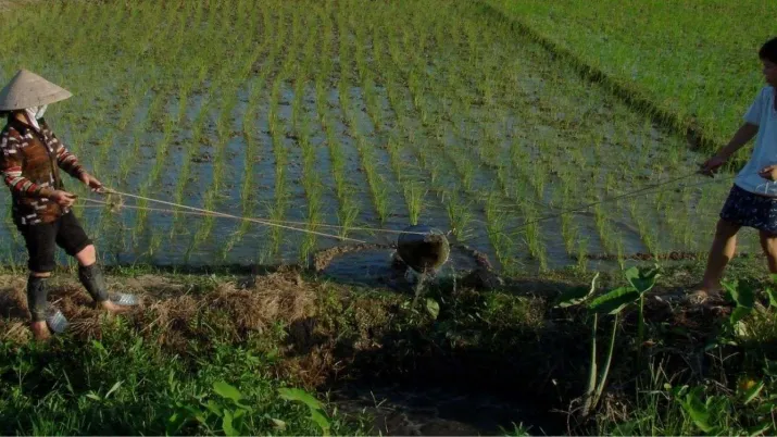 Ce projet a pour objectif d’augmenter la connaissance du grand public sur les inégalités