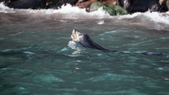 Bahia de Kino, Mexico