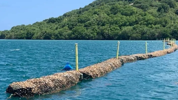 Un barrage anti-sargasses au Robert en Martinique