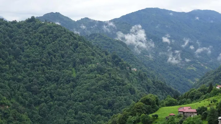 Préserver la forêt turque, projet AFD