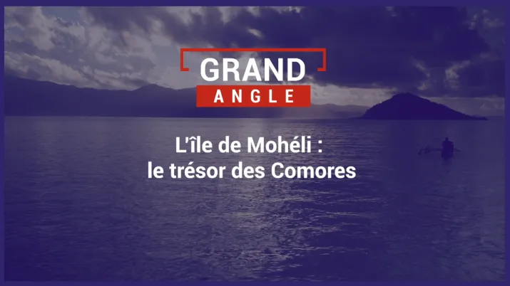 L'île de Mohéli : le trésors des comores