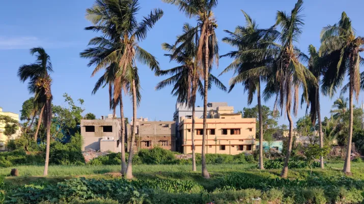 Bhubaneswar Biodiversity Indian Cities