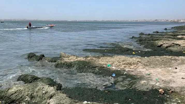 Dépolluer la baie de Hann